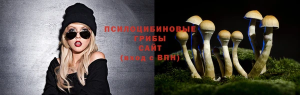 МДПВ Богородицк