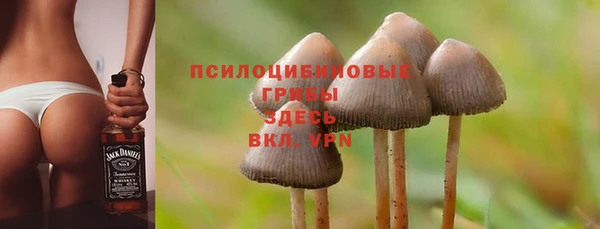 ешки Богданович