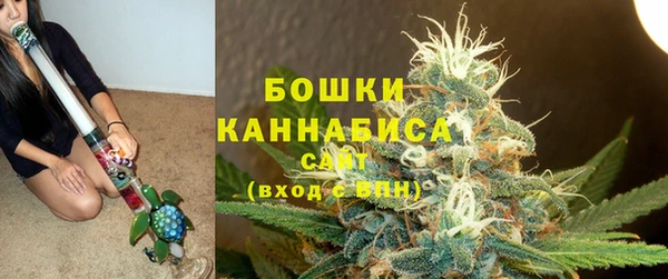 МДПВ Богородицк