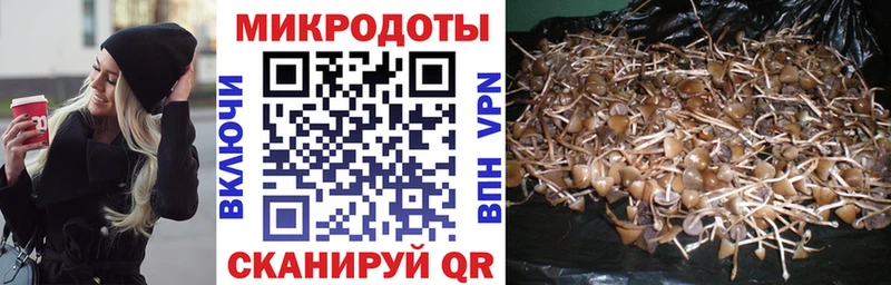 Купить закладки  Шахты  Галлюциногенные грибы Psilocybine cubensis 